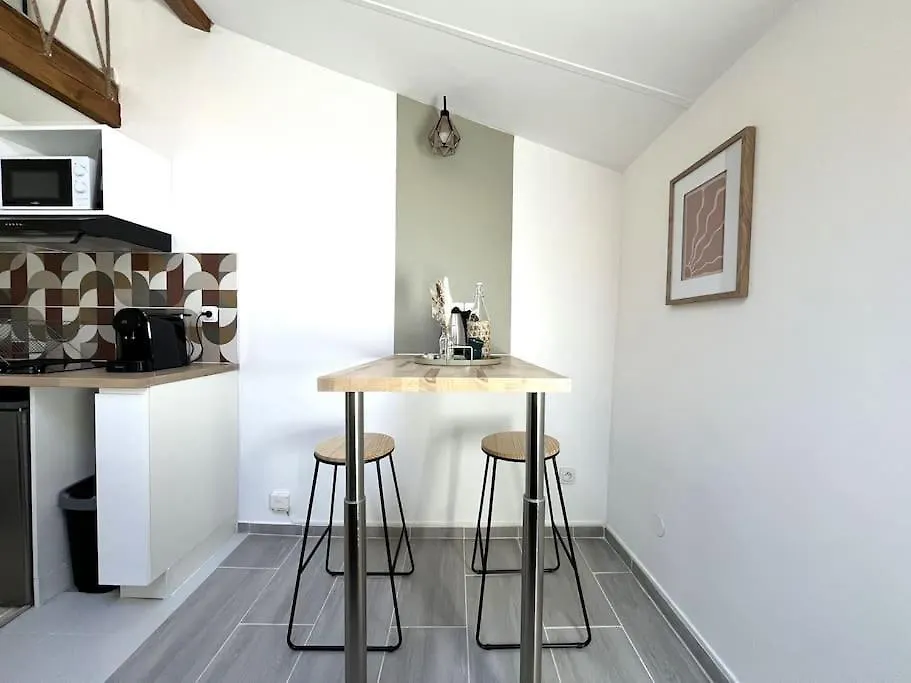 Appartement Abrizen Toulouse Hypercentre France