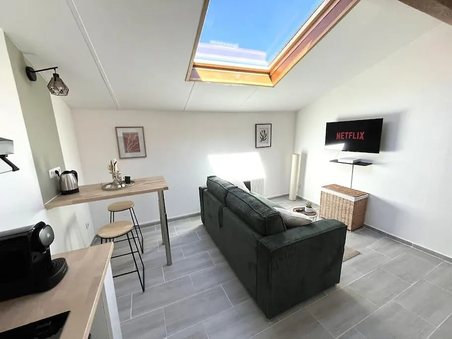 Abrizen Toulouse Hypercentre Apartment