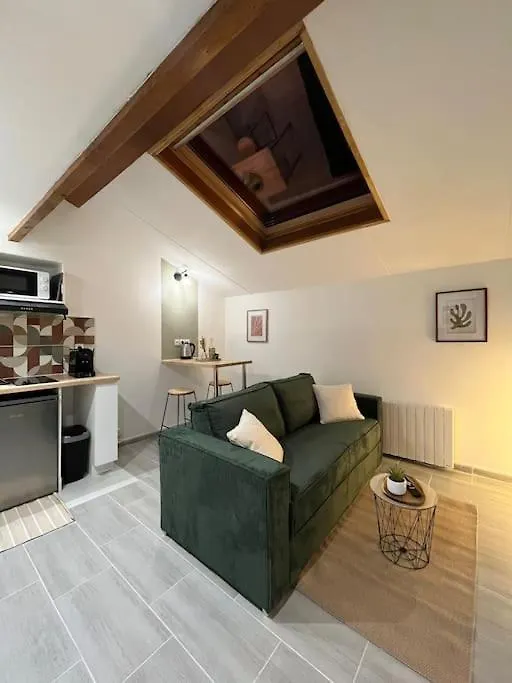 Abrizen Toulouse Hypercentre Apartment